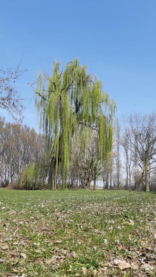 La Locanda Nel Frutteto Rovereto sulla Secchia 外观 照片